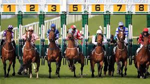 horse betting tips today