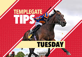 templegate tips today