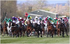 favourites for the grand national