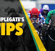 templegate's horse racing tips