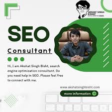 search optimization consultant