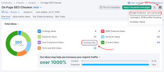 google seo analyzer