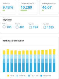 check website keyword ranking
