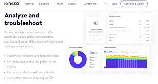 website traffic analysis