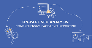 page seo analysis