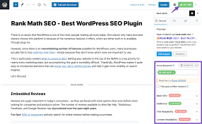 seo score