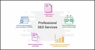 professional seo consultant