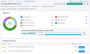 on page seo checker free