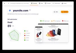 check your seo score