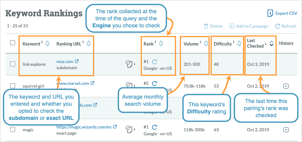 rank site check